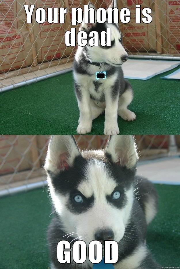YOUR PHONE IS DEAD GOOD Insanity puppy