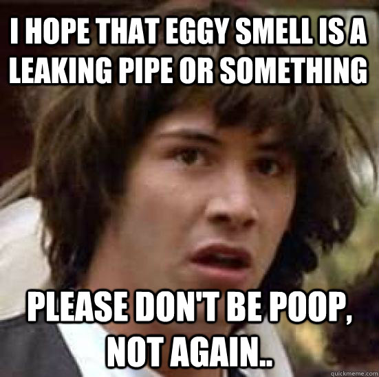 I hope that eggy smell is a leaking pipe or something please don't be poop, not again..  conspiracy keanu