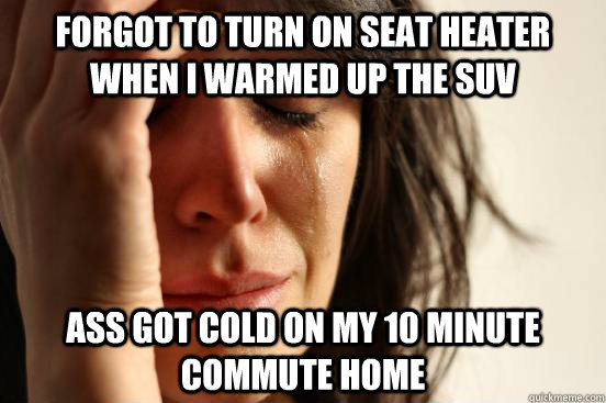 Forgot to turn on seat heater when I warmed up the suv Ass got cold on my 10 minute commute home  First World Problems