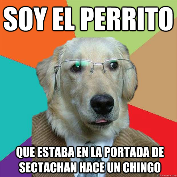 Soy el perrito
 Que estaba en la portada de sectachan hace un chingo  Business Dog