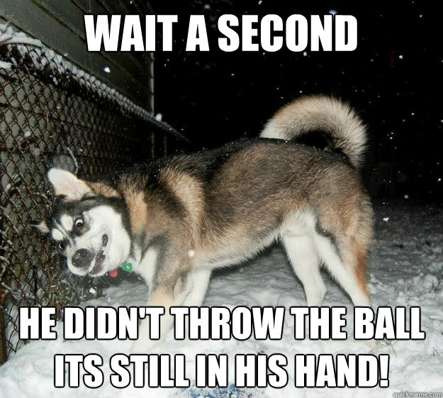 wait a second He didn't throw the ball
its still in his hand! - wait a second He didn't throw the ball
its still in his hand!  Sudden Clarity Canine