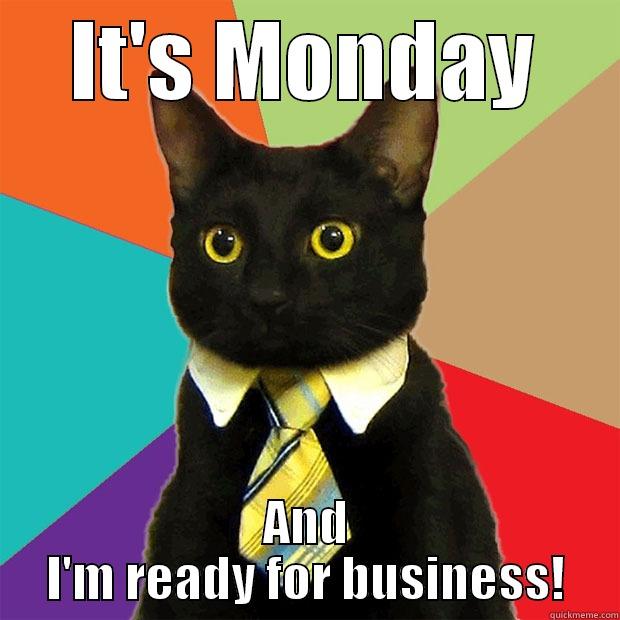 Monday again? - IT'S MONDAY AND I'M READY FOR BUSINESS! Business Cat