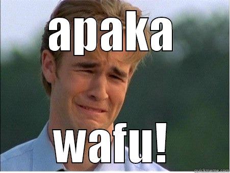 APAKA WAFU! 1990s Problems