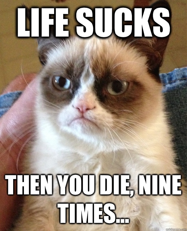 Life sucks Then you die, nine times...  Grumpy Cat