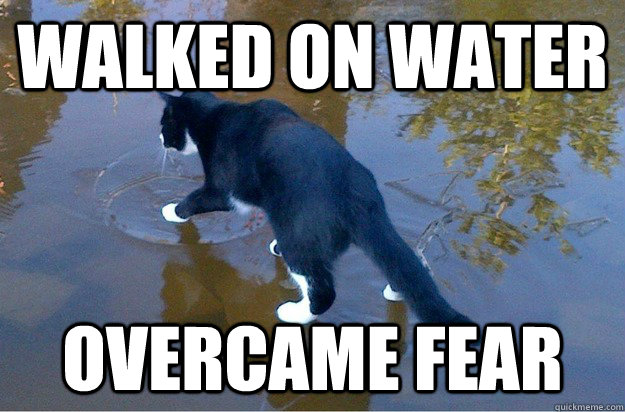 Walked on water Overcame fear  Jesus Cat