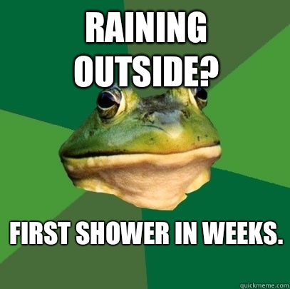 Raining outside? First shower in weeks.   Foul Bachelor Frog