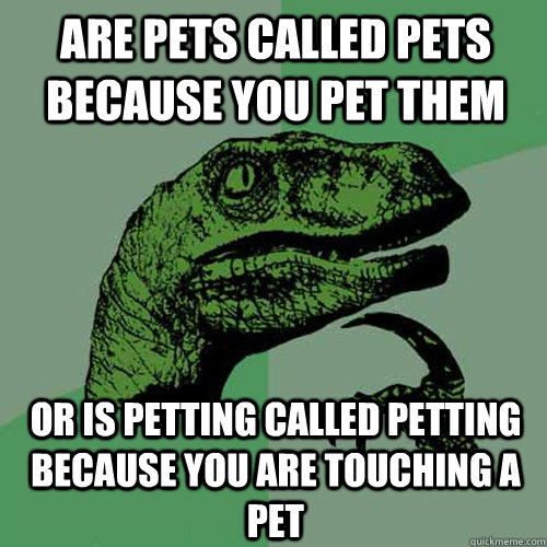 Are Pets Called pets because you pet them or is petting called petting because you are touching a pet  Philosoraptor