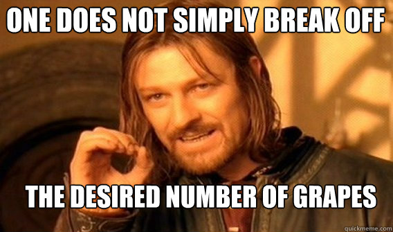 One does not simply break off the desired number of grapes
 - One does not simply break off the desired number of grapes
  Boromirmod