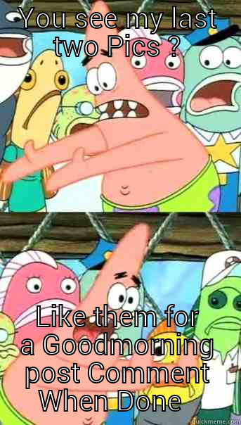 YOU SEE MY LAST TWO PICS ? LIKE THEM FOR A GOODMORNING POST COMMENT WHEN DONE   Push it somewhere else Patrick