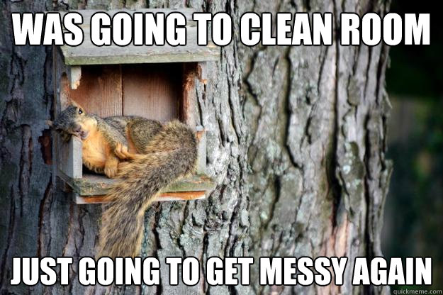 was going to clean room just going to get messy again - was going to clean room just going to get messy again  Misc