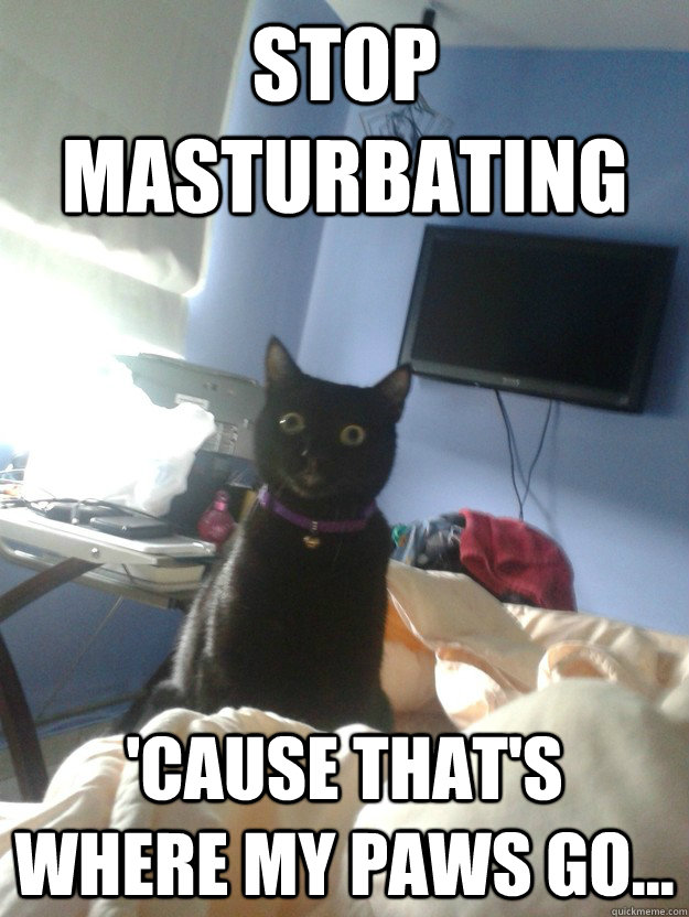 Stop masturbating 'cause that's where my paws go...  overly attached cat
