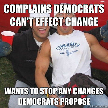 Complains Democrats can't effect change Wants to stop any changes Democrats propose  