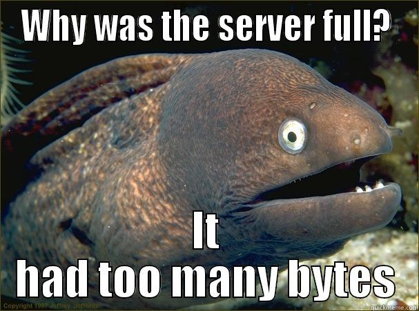 WHY WAS THE SERVER FULL? IT HAD TOO MANY BYTES Bad Joke Eel