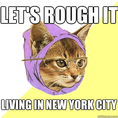 let's rough it living in new york city  Hipster Kitty