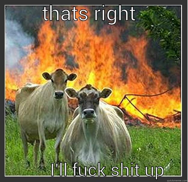         THATS RIGHT                       I'LL FUCK SHIT UP     Evil cows