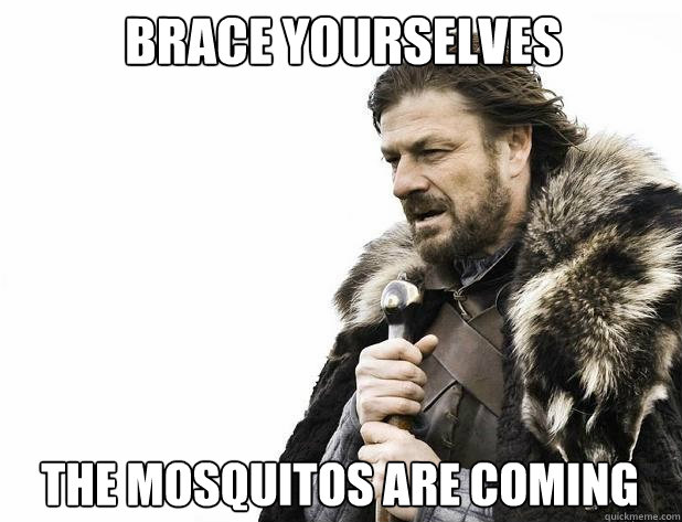 brace yourselves the mosquitos are coming  