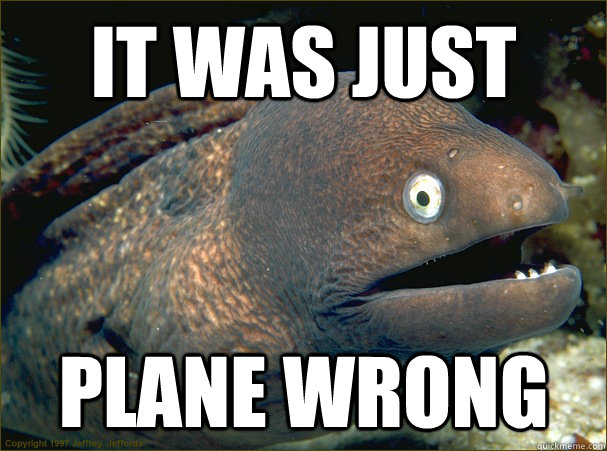 It was just plane wrong  Bad Joke Eel