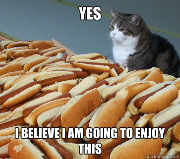 Yes I believe i am going to enjoy this  Hot Dog Cat