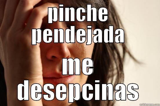 PINCHE PENDEJADA ME DESEPCINAS First World Problems