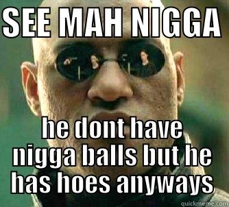 SEE MAH NIGGA  HE DONT HAVE NIGGA BALLS BUT HE HAS HOES ANYWAYS Matrix Morpheus