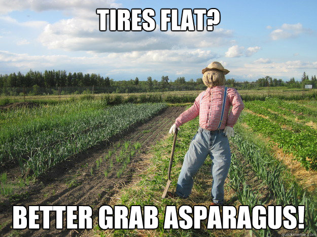 Tires flat? Better grab asparagus! - Tires flat? Better grab asparagus!  Scarecrow