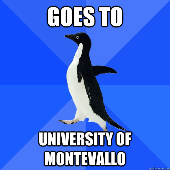 Goes to University of Montevallo  Socially Awkward Penguin