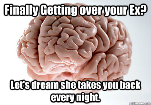 Finally Getting over your Ex? Let's dream she takes you back every night.  Scumbag Brain