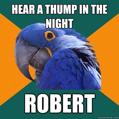 Hear a thump in the night robert  Paranoid Parrot