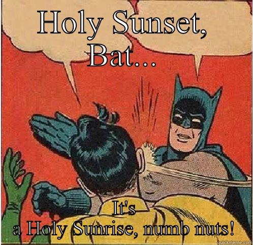 HOLY SUNSET, BAT... IT'S A HOLY SUNRISE, NUMB NUTS! Batman Slapping Robin