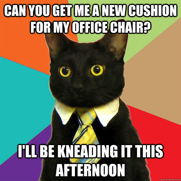 can you get me a new cushion for my office chair? I'll be kneading it this afternoon - can you get me a new cushion for my office chair? I'll be kneading it this afternoon  Business Cat