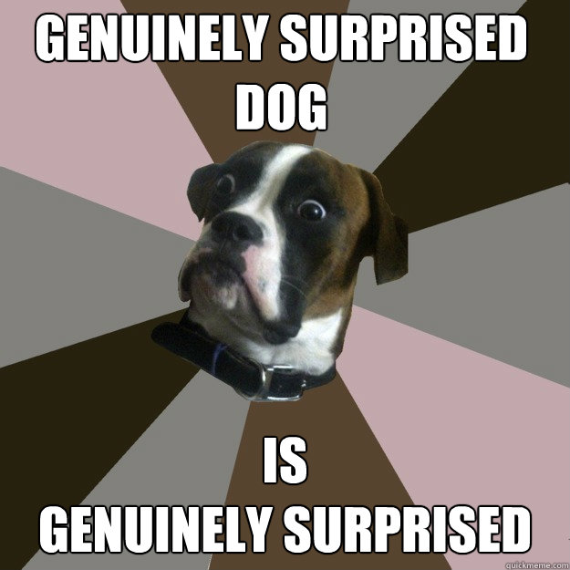 genuinely surprised
dog is
genuinely surprised - genuinely surprised
dog is
genuinely surprised  Genuinely Surprised Dog