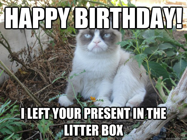 happy birthday! i left your present in the litter box - happy birthday! i left your present in the litter box  Misc