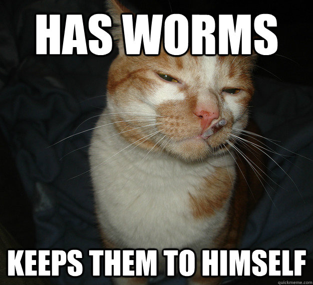 Has worms Keeps them to himself  Cool Cat Craig