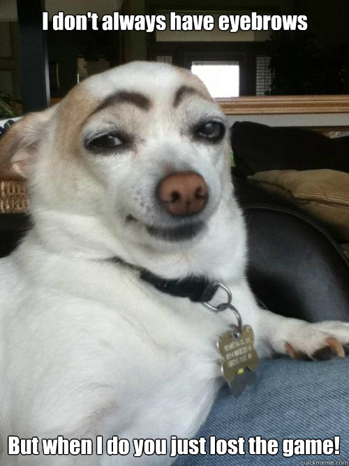 I don't always have eyebrows But when I do you just lost the game!  Eyebrows Dog