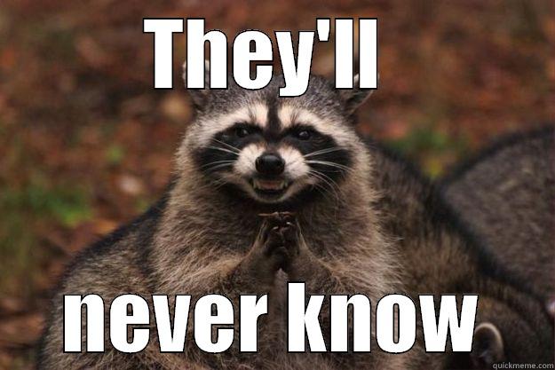 They'll never know - THEY'LL  NEVER KNOW Evil Plotting Raccoon