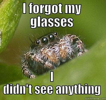 Blind Spider - I FORGOT MY GLASSES I DIDN'T SEE ANYTHING Misunderstood Spider