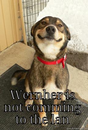  WERNHER IS NOT COMMING TO THE LAN Good Dog Greg