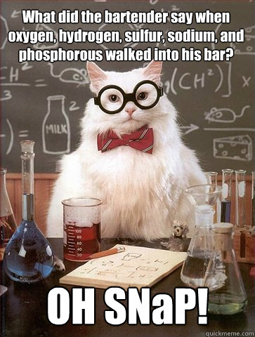 What did the bartender say when oxygen, hydrogen, sulfur, sodium, and phosphorous walked into his bar?  OH SNaP! - What did the bartender say when oxygen, hydrogen, sulfur, sodium, and phosphorous walked into his bar?  OH SNaP!  Chemist cat