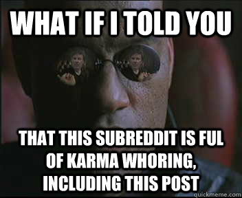 What if i told you That this subreddit is ful of karma whoring, including this post  brink what if i told you