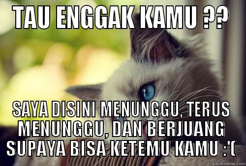 TAU ENGGAK KAMU ?? SAYA DISINI MENUNGGU, TERUS MENUNGGU, DAN BERJUANG SUPAYA BISA KETEMU KAMU :'( First World Problems Cat