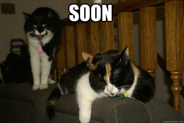 SOON - SOON  Revenge Cat