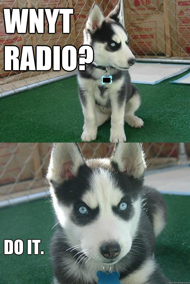 WNYT 
RADIO? Do it.  Insanity puppy