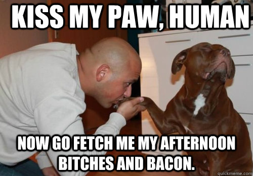 Kiss My Paw, Human Now go fetch me my afternoon bitches and bacon.   Royalty Dog