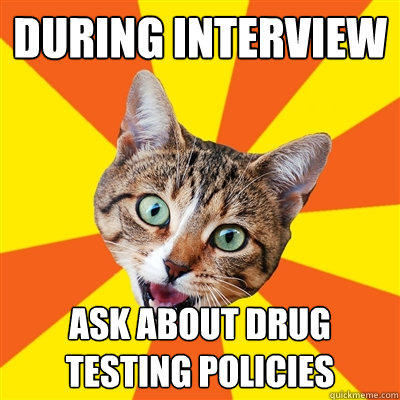 during interview ask about drug testing policies  Bad Advice Cat