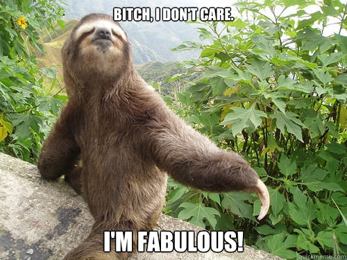 Bitch, I don't care. I'M FABULOUS!  Fabulous Sloth
