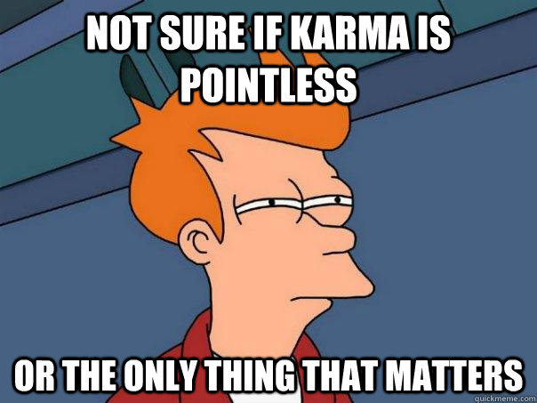 Not sure if Karma is pointless Or the only thing that matters  Futurama Fry