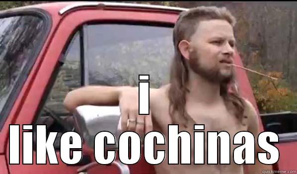 redneck cochino -  I LIKE COCHINAS Almost Politically Correct Redneck