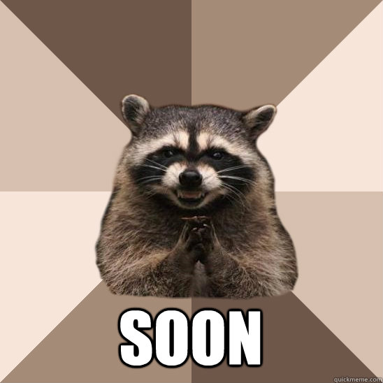    Soon -    Soon  Evil Plotting Raccoon