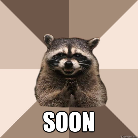    Soon  Evil Plotting Raccoon