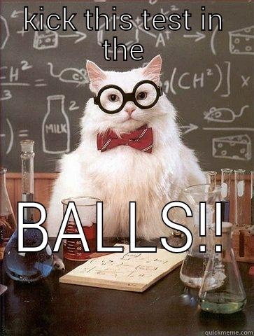 KICK THIS TEST IN THE BALLS!! Chemistry Cat